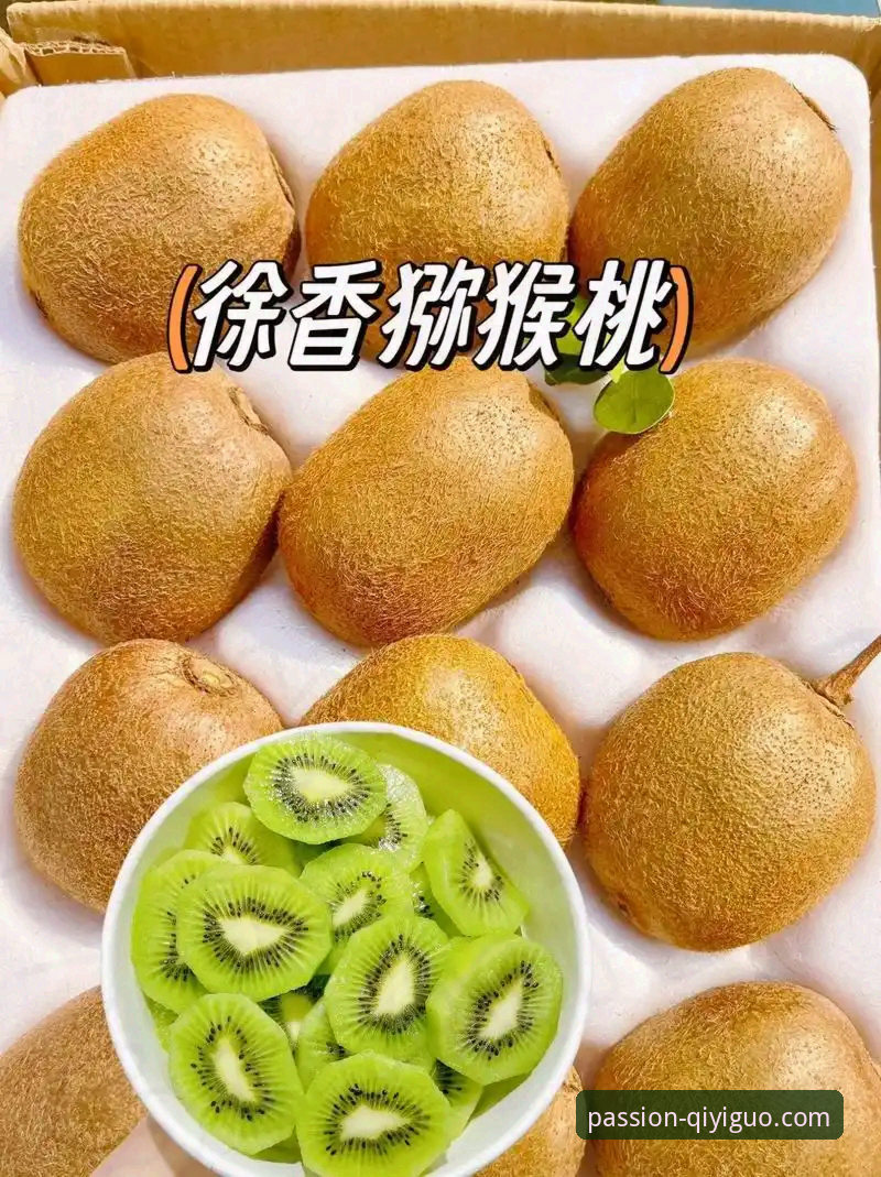 奇异果体育平台实用指南：从下载到深度观赛的必备知识